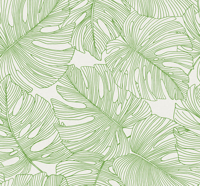 product image for Tarra Monstera Leaf Wallpaper in Hill Green 46