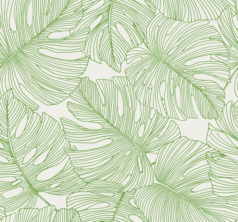 media image for Tarra Monstera Leaf Wallpaper in Hill Green 258