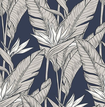 product image of Sample Birds of Paradise Peel & Stick Wallpaper in Navy/Pewter by Stacy Garcia 574