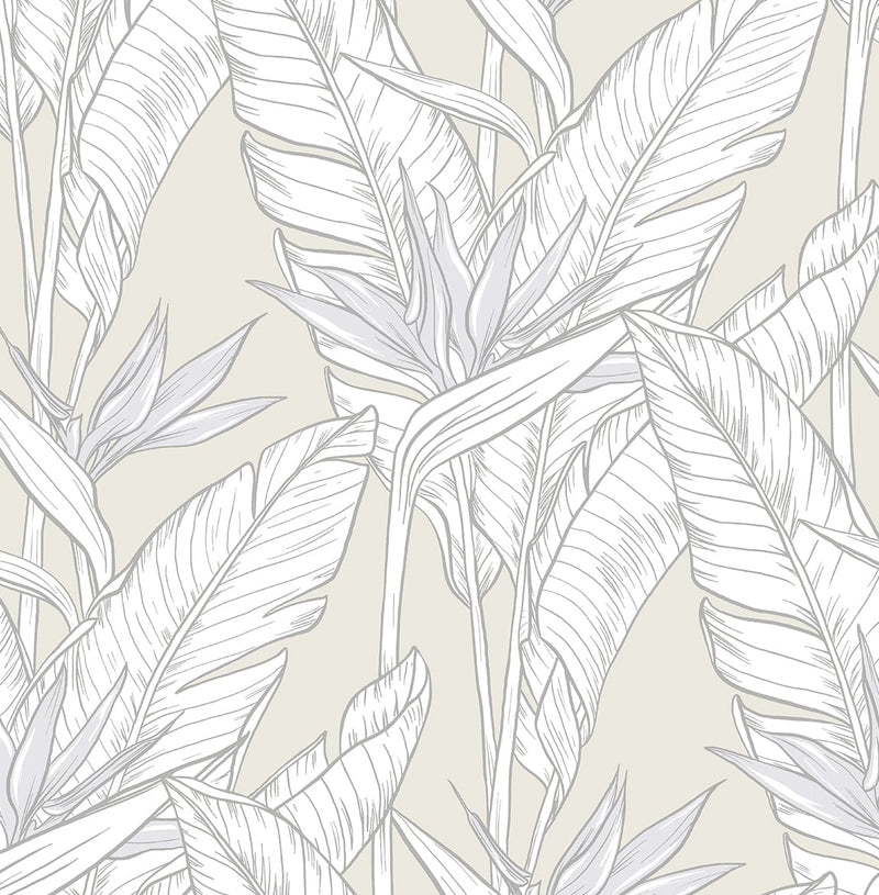 media image for Birds of Paradise Peel & Stick Wallpaper in Pearl Grey/Silver by Stacy Garcia 254