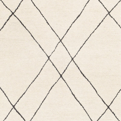 product image for Sinop SNP-2304 Hand Tufted Rug in Black & Cream by Surya 62