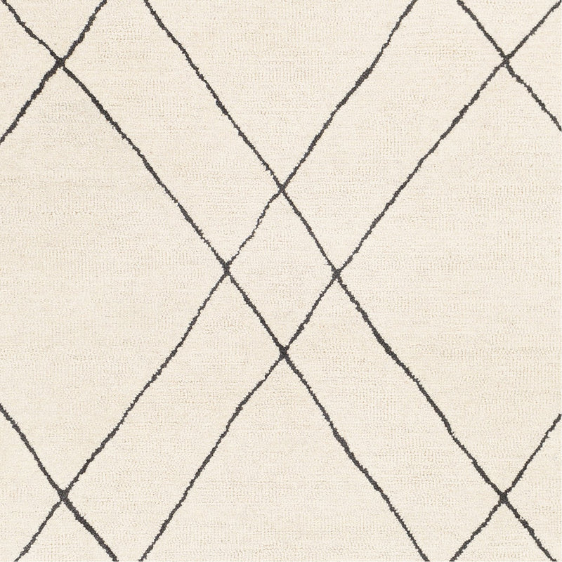 media image for Sinop SNP-2304 Hand Tufted Rug in Black & Cream by Surya 223