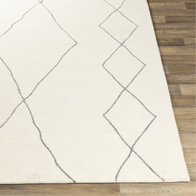 product image for Sinop SNP-2306 Hand Tufted Rug in Cream & Charcoal by Surya 67