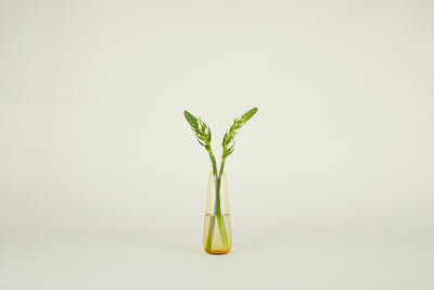 product image for Aurora Vase in Various Sizes & Colors 98