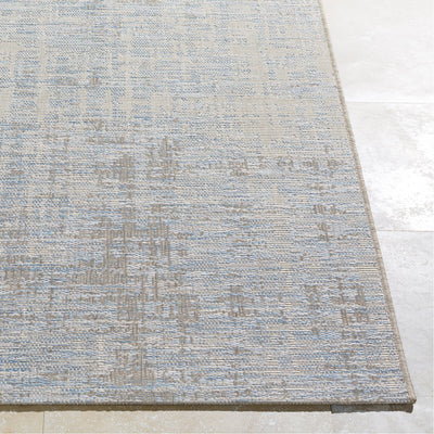 product image for Santa Cruz STZ-6013 Rug in Sky Blue & Taupe by Surya 25