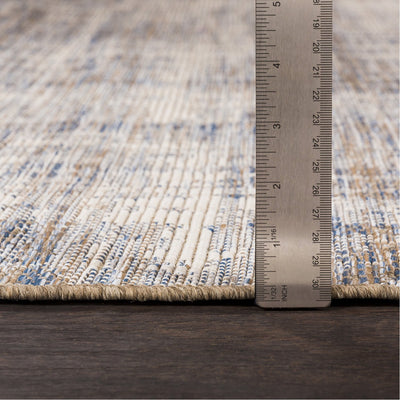 product image for Santa Cruz STZ-6013 Rug in Sky Blue & Taupe by Surya 3