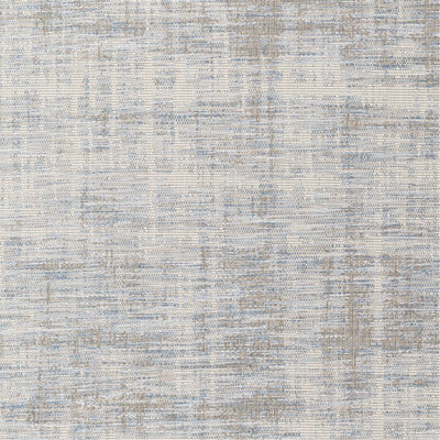 product image for Santa Cruz STZ-6013 Rug in Sky Blue & Taupe by Surya 47