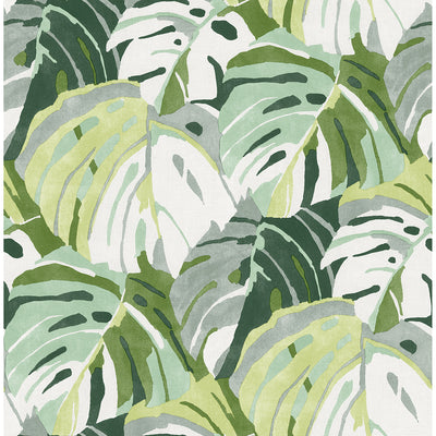 product image of Samara Monstera Leaf Wallpaper in Green from the Pacifica Collection by Brewster Home Fashions 546