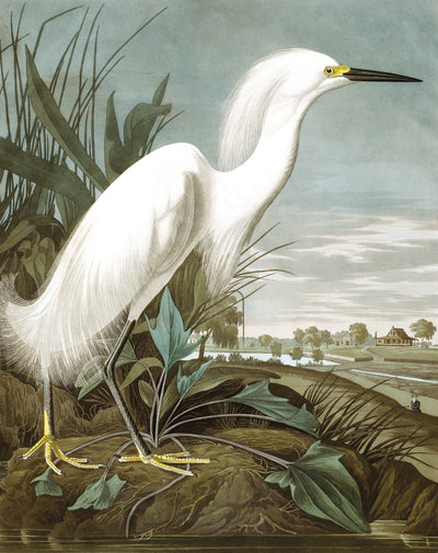 product image for Snowy Heron 009 Wallpaper Panel by KEK Amsterdam 61