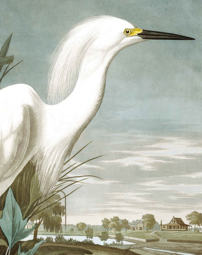 product image for Snowy Heron 009 Wallpaper Panel by KEK Amsterdam 9