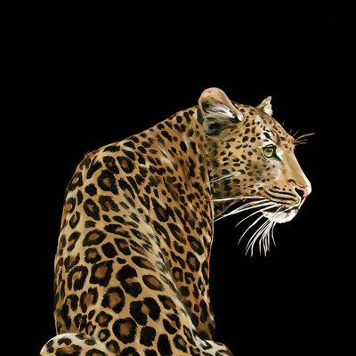 product image of Leopardo Solo Wall Mural in Alessio 528