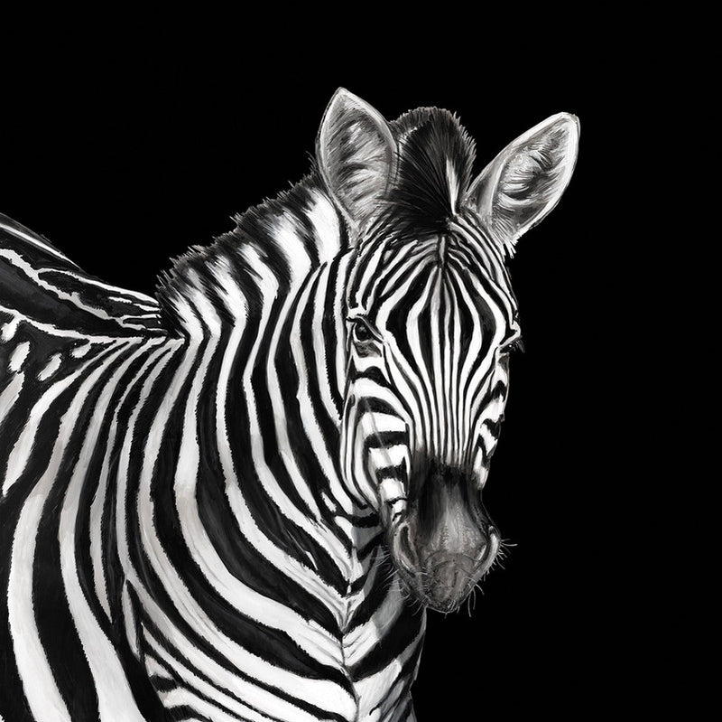 media image for Zebra Wall Mural in Lucia 234