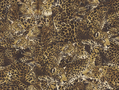 product image of Leopardo Incognito Wallpaper in Alessia 575