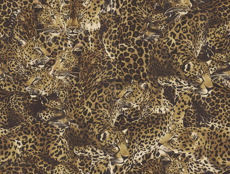 media image for Leopardo Incognito Wallpaper in Alessia 292