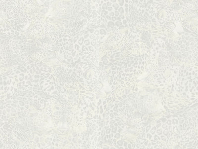 product image of Leopardo Incognito Wallpaper in Tigre 560