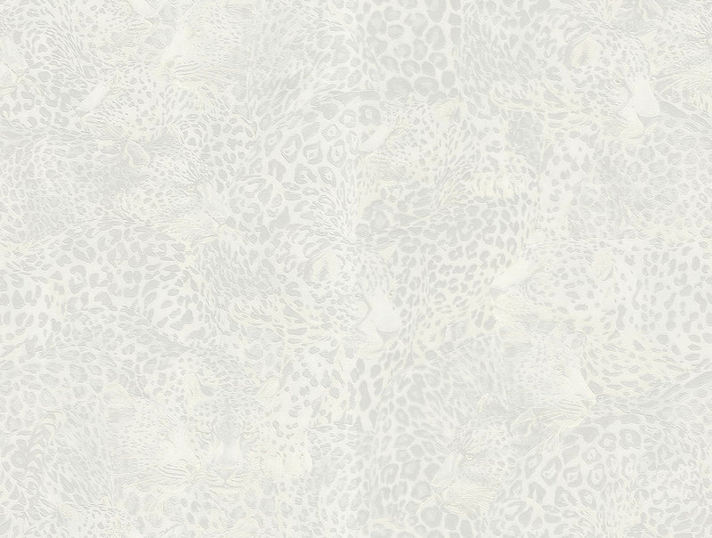 media image for Leopardo Incognito Wallpaper in Tigre 294