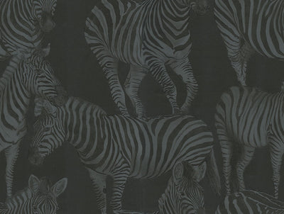 product image for Zebra Romance Wallpaper in Misterioso 16