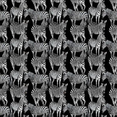 product image for Multi Zebra Wall Mural in Tullio 35