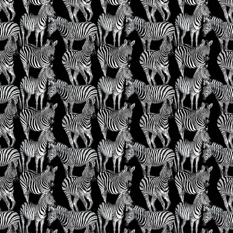 media image for Multi Zebra Wall Mural in Tullio 226