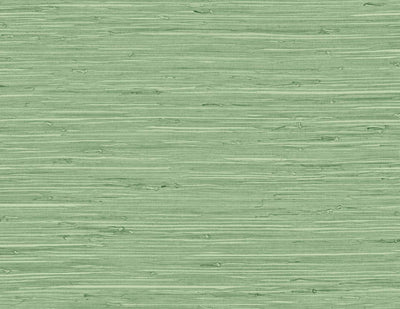 product image of Marion Faux Arrowroot Vinyl Wallpaper in Spring Forest 557