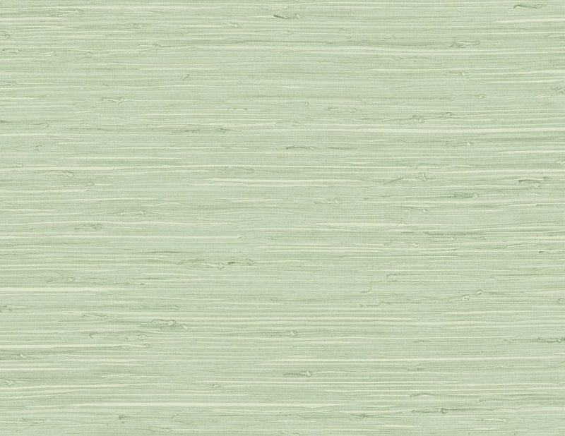 media image for Marion Faux Arrowroot Vinyl Wallpaper in Frosted Grass 218