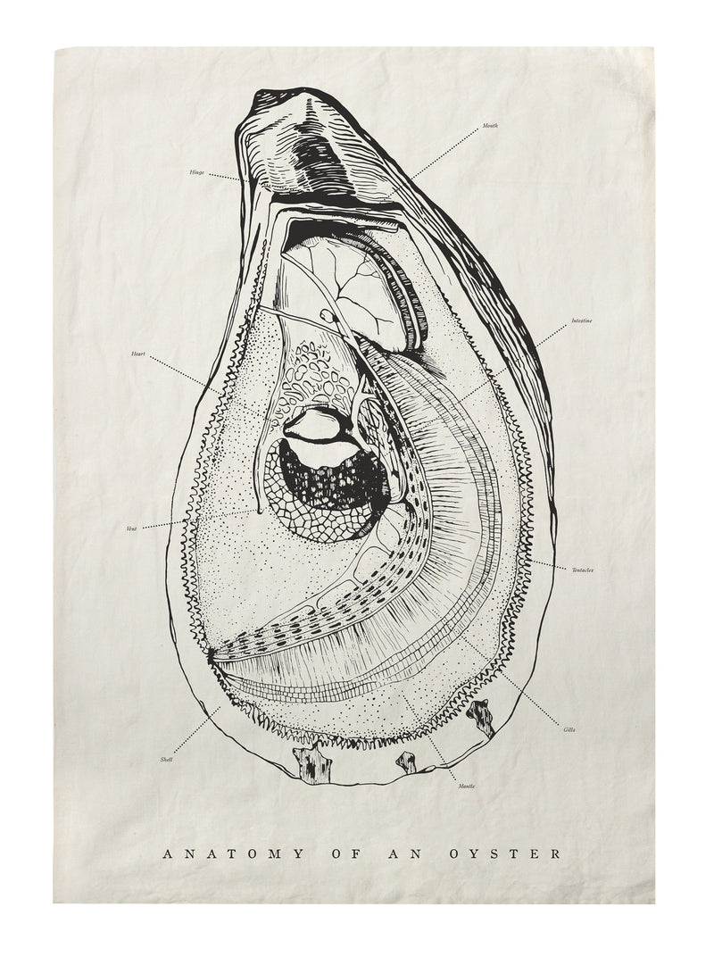 media image for Oyster Anatomy Tea Towel design by Sir/Madam 285