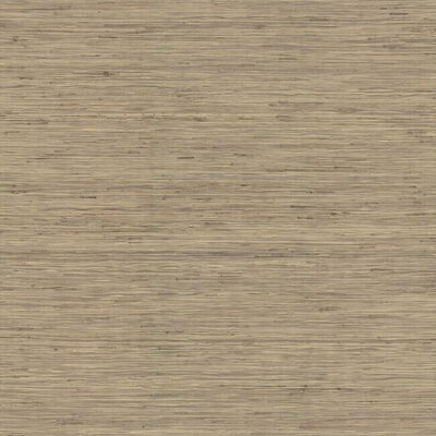 product image for Threaded Jute Wallpaper in Beige from the Traveler Collection by Ronald Redding 84