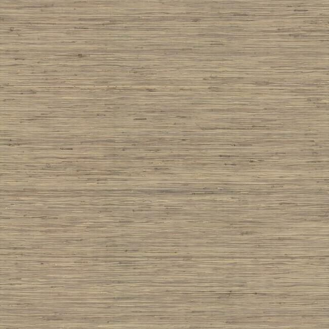 media image for Threaded Jute Wallpaper in Beige from the Traveler Collection by Ronald Redding 296