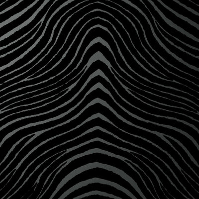 product image of Zebra Stripes Velvet Flock Wallpaper in Noir by Burke Decor 583