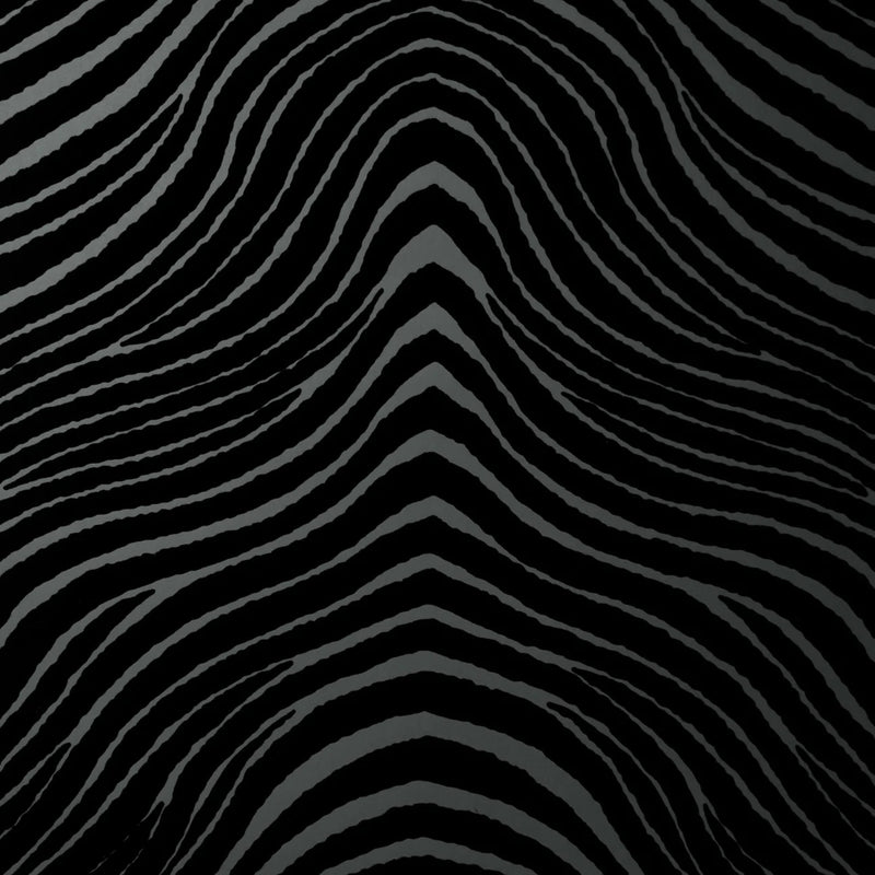 media image for Zebra Stripes Velvet Flock Wallpaper in Noir by Burke Decor 245