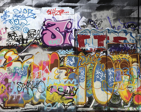 media image for Graffiti Wall Mural 263