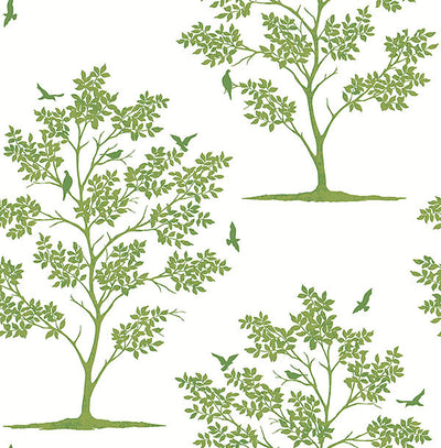product image of Woodland Green Trees & Birds Wallpaper from the Essentials Collection by Brewster Home Fashions 528