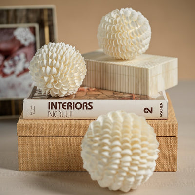 product image for natural clamrose sea shell fill ball 5 30