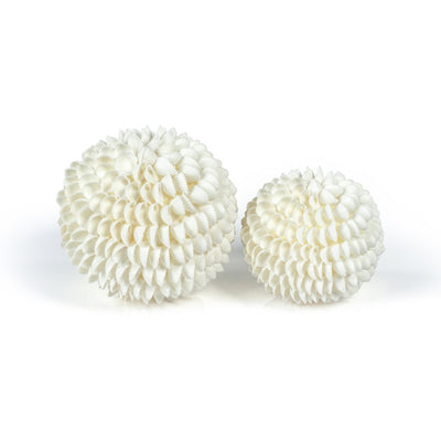 product image for natural clamrose sea shell fill ball 3 73