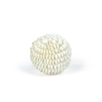 product image of natural clamrose sea shell fill ball 2 559