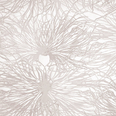 product image of Anemone Wallpaper in Alique design by Jill Malek 530