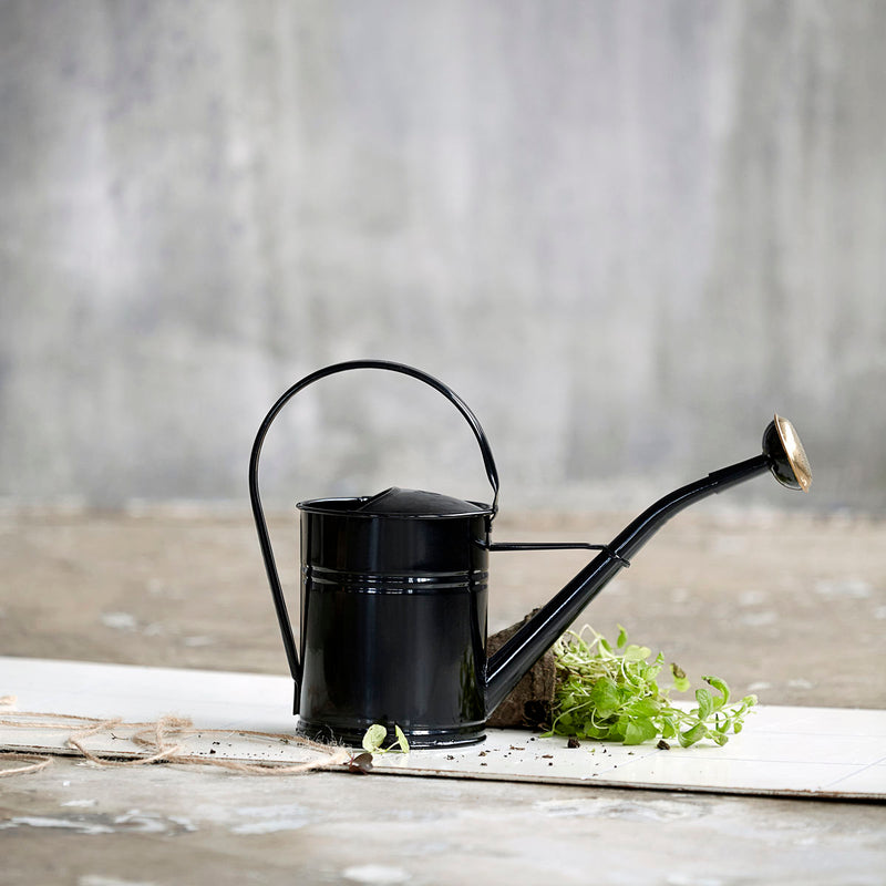 media image for watering can 3 257