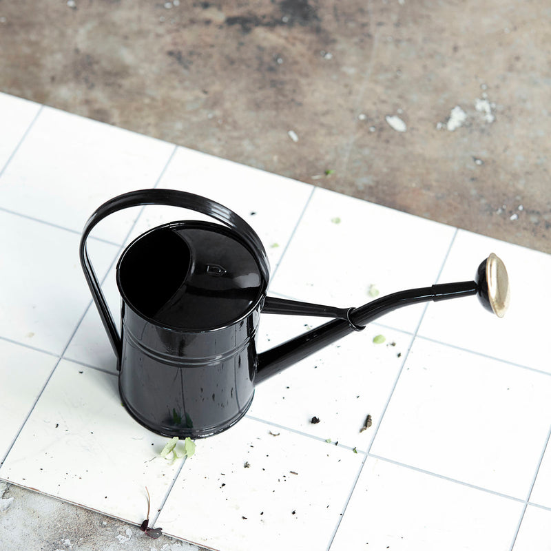 media image for watering can 5 268