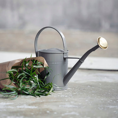 product image for watering can 4 60