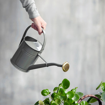 product image for watering can 6 77