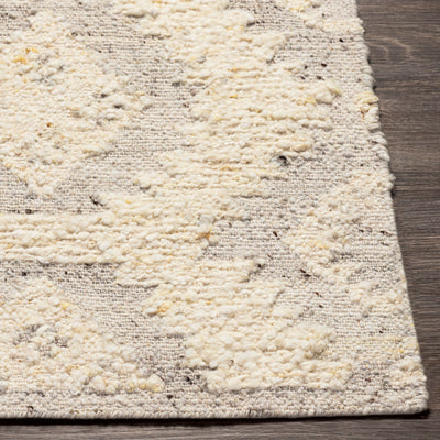 product image for ben 2306 bremen rug by surya 4 77