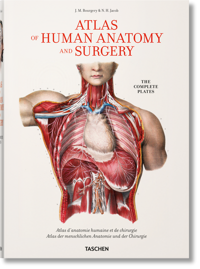 product image for bourgery atlas of human anatomy and surgery 1 84