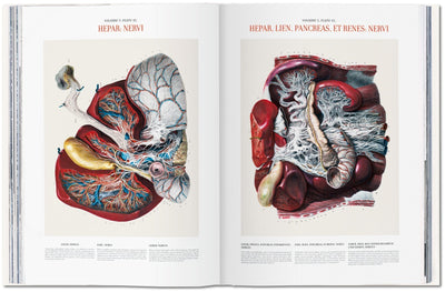 product image for bourgery atlas of human anatomy and surgery 6 88