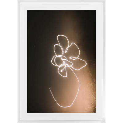 product image for moon flower framed photo 9 86