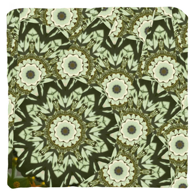 product image for verdant throw pillow 15 75