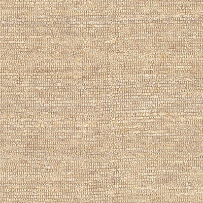 product image for Continental Jute Cream Rug Swatch Image 43