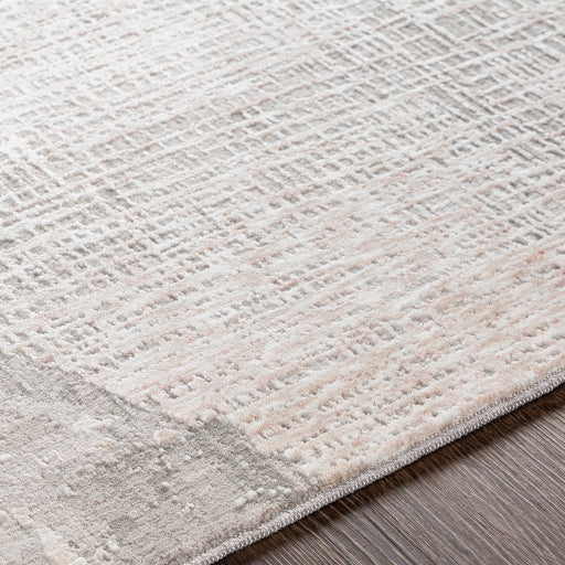 media image for Carmel Light Gray Rug Texture Image 246