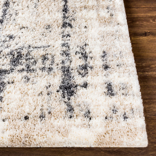 media image for Eskimo Shag Beige Rug Front Image 284