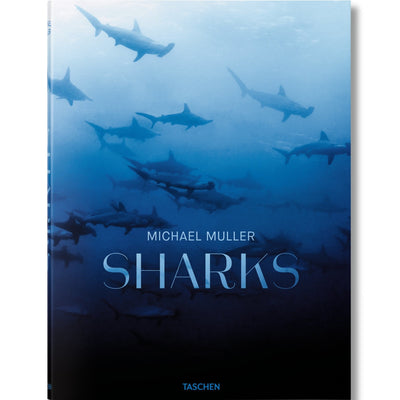 product image of Sharks 1 527