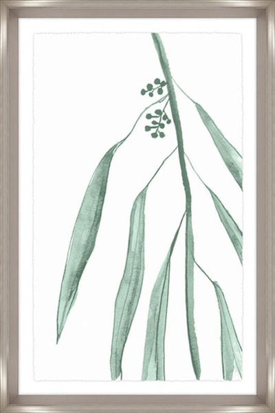 product image for eucalyptus iv by bd art gallery lba 52bu0474 gf 1 29